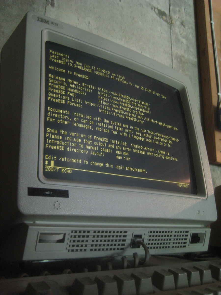 An IBM 3151 computer terminal.